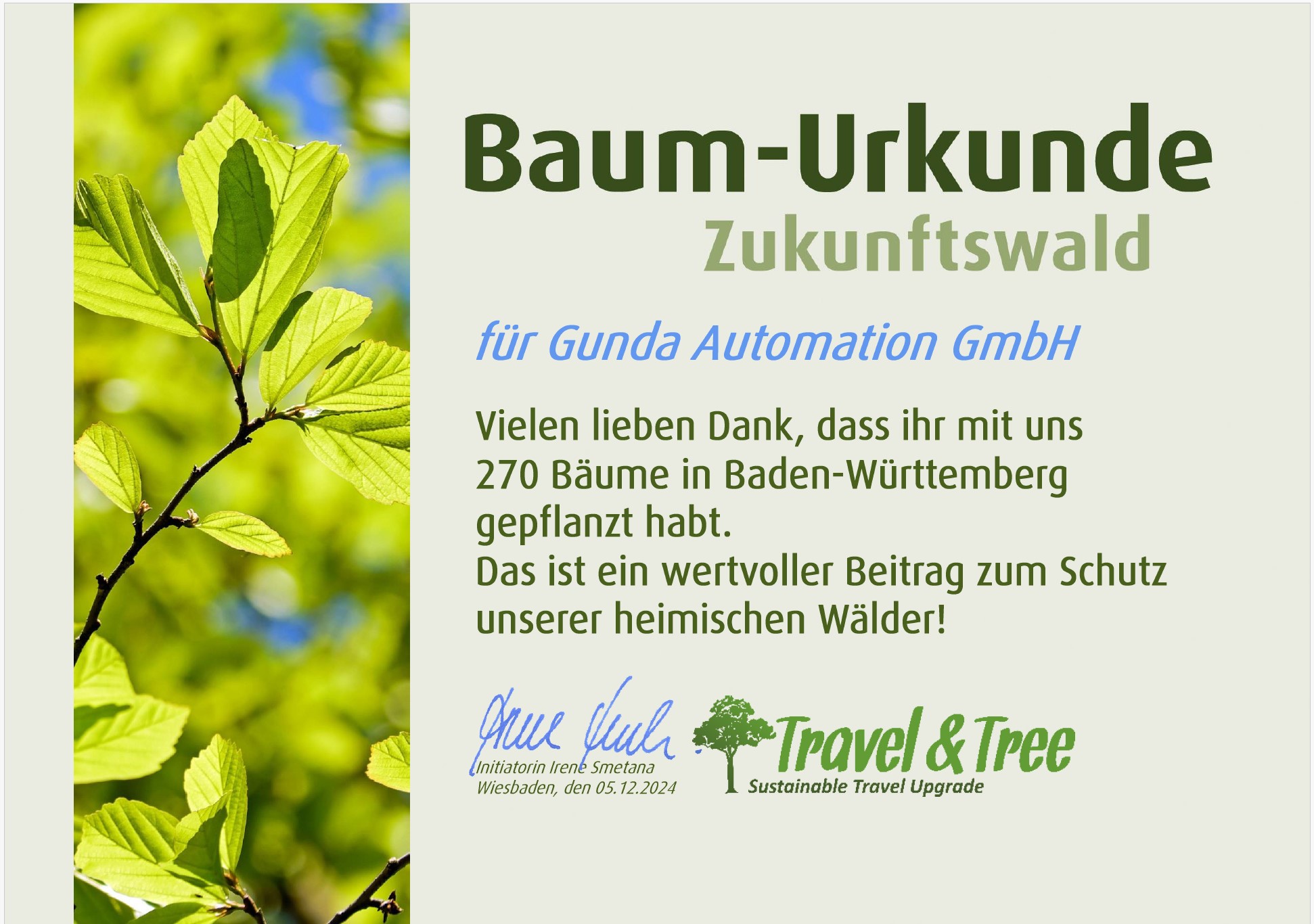 Baum Urkunde für 2024